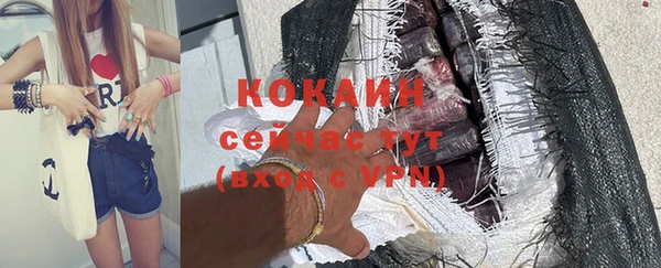 mix Богородицк