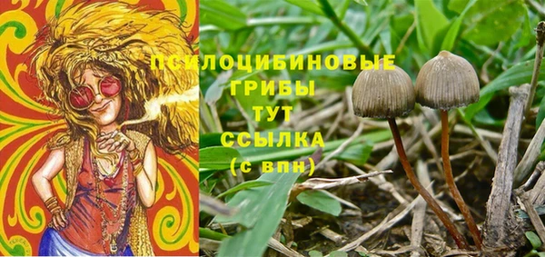 марки nbome Беломорск